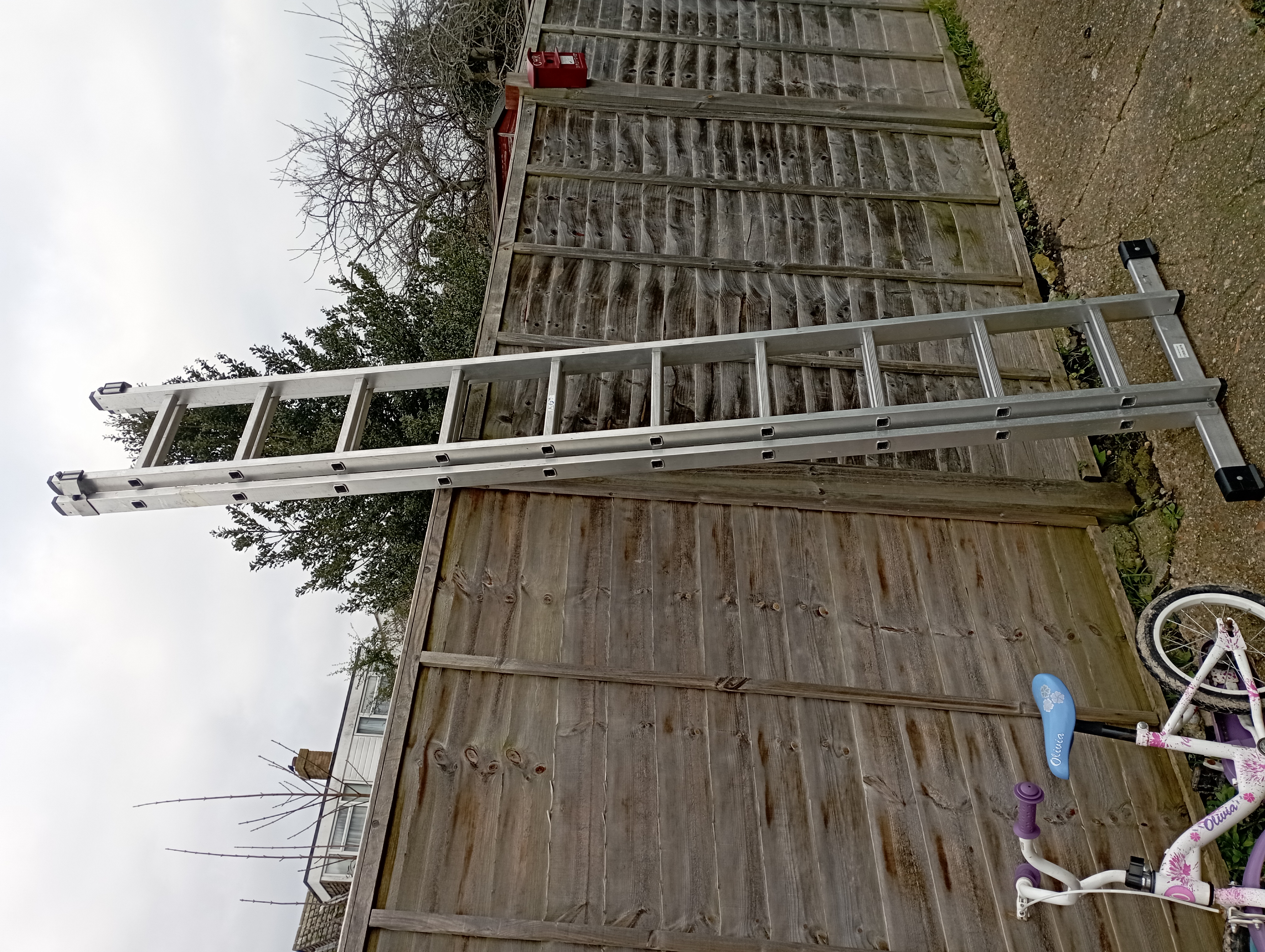 Double extension ladder