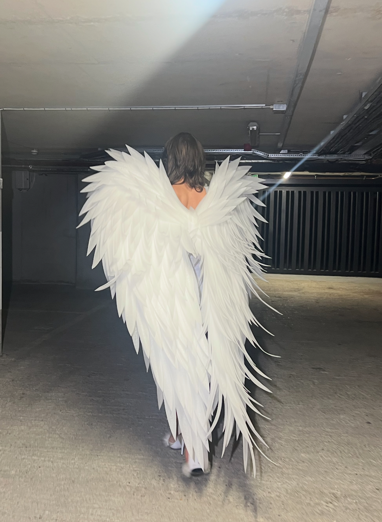 Angel wings 
