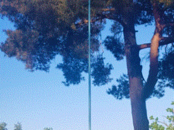 10 m teleskopisk kvistsåg