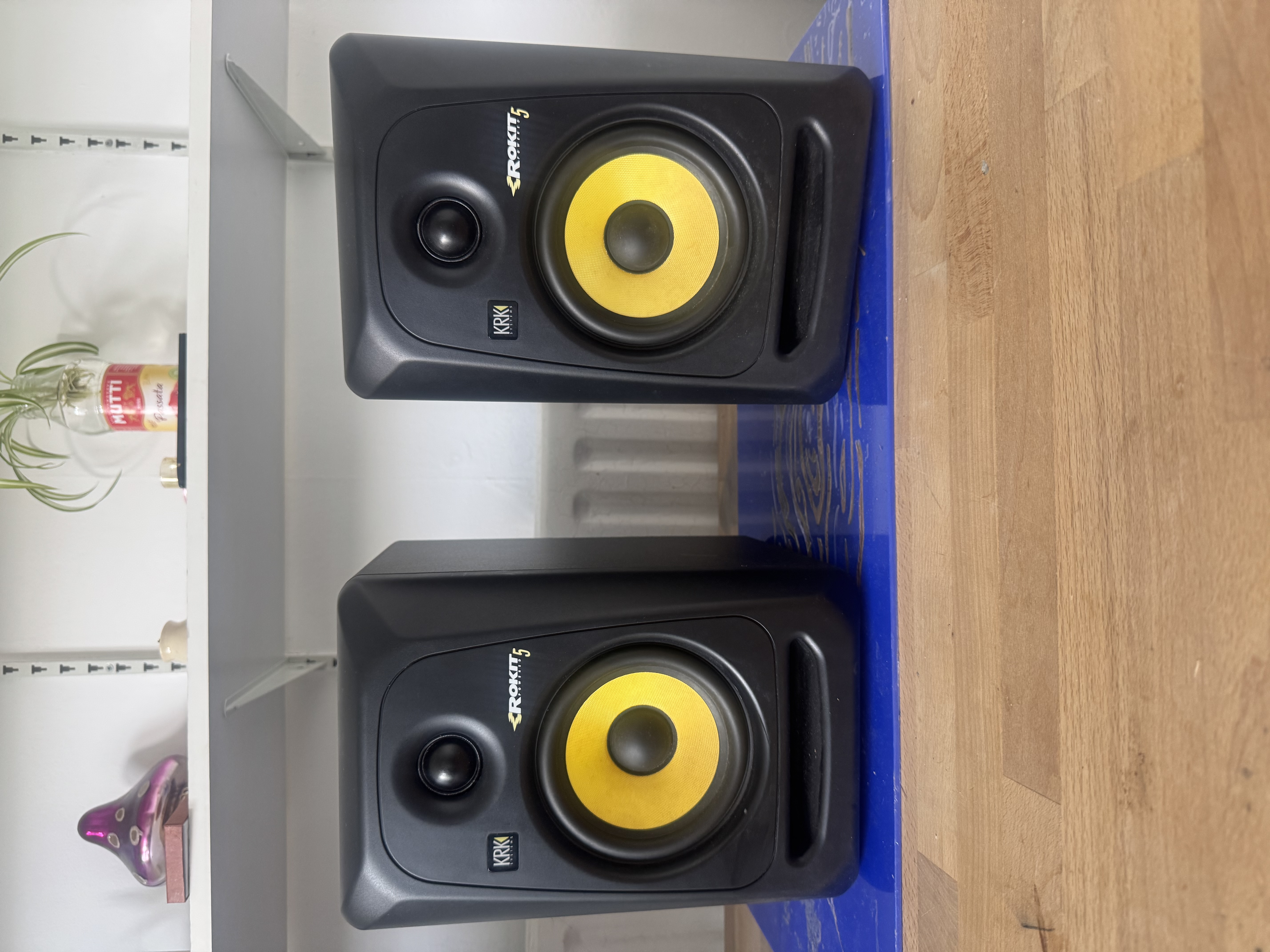 Rokit 5 speakers x2