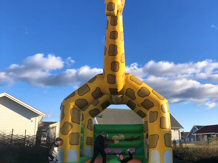 Giraff hoppborg uthyres