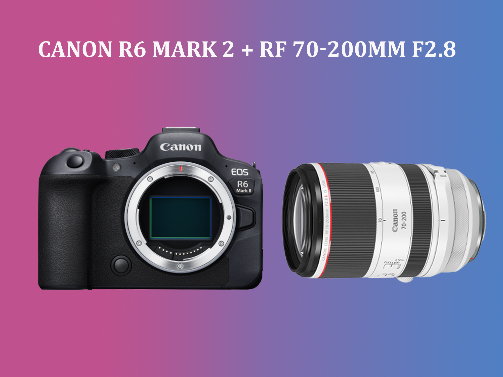 Canon r6 mark ii + rf 70-200mm f/2.8