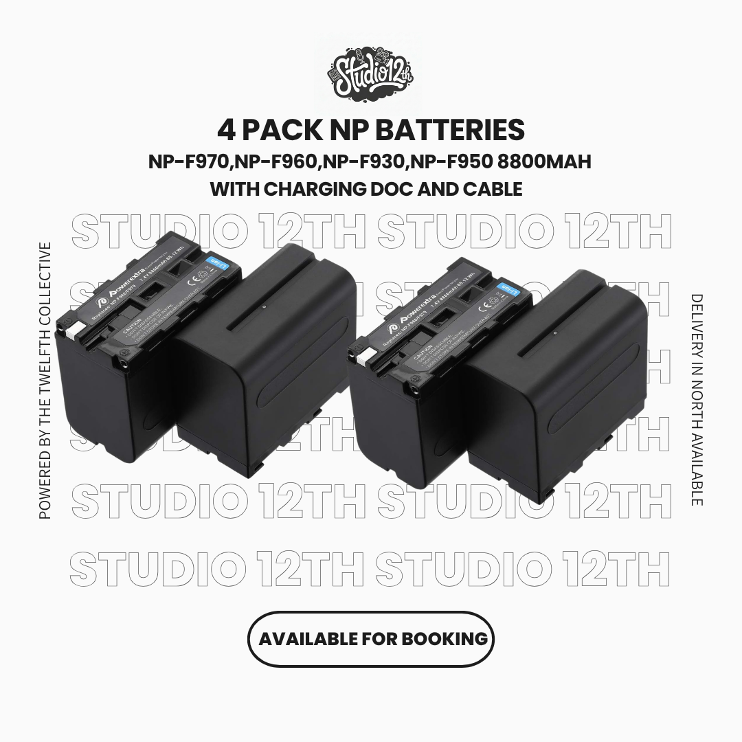 Np lithium ion batteries (4 pack) 