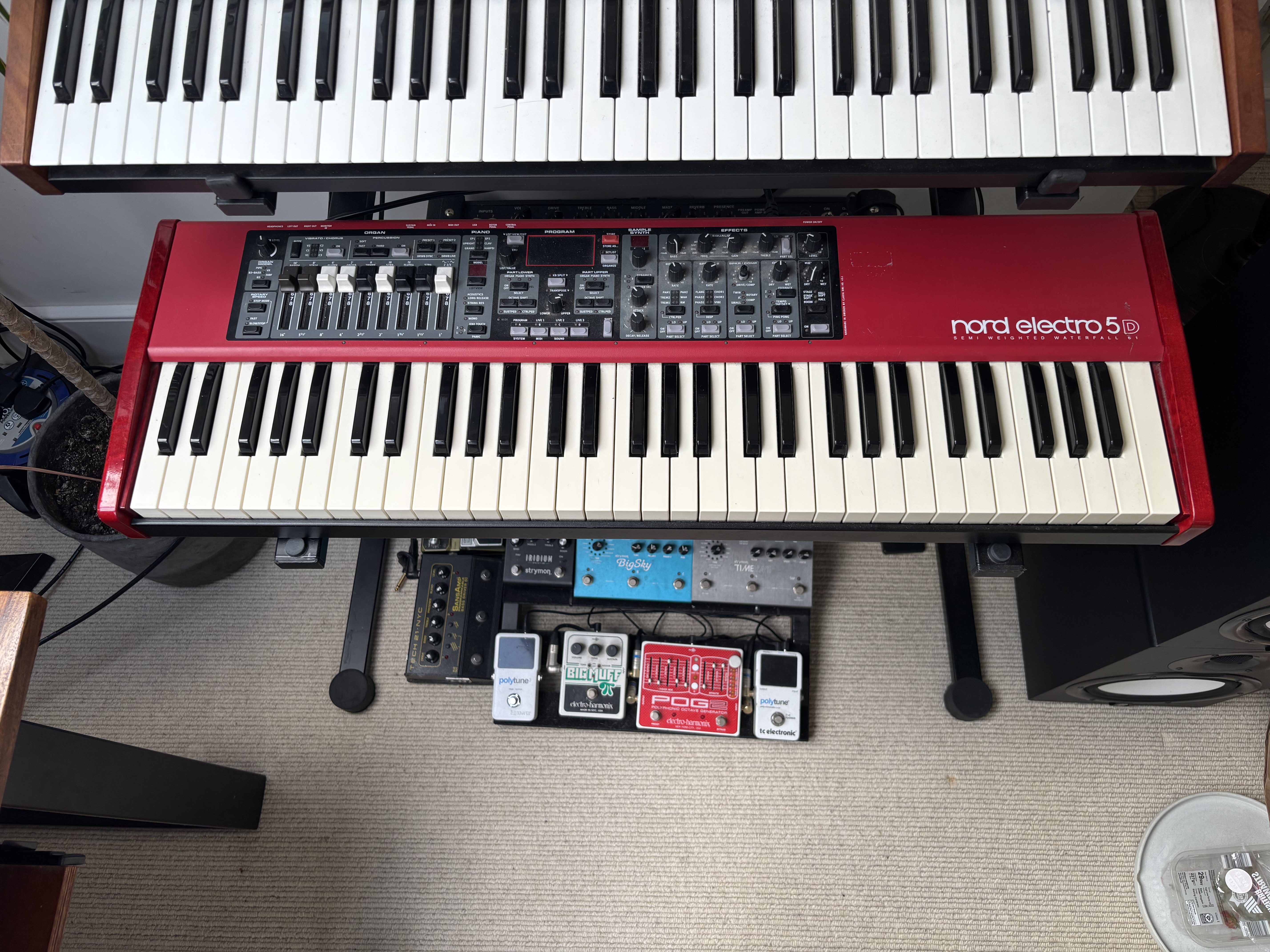 Nord electro 5d 61 key