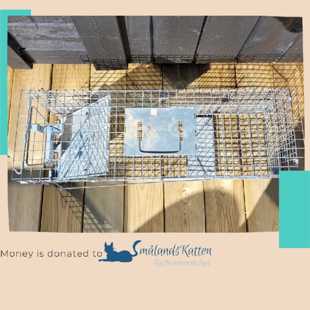 Smådjursfälla animal trap
