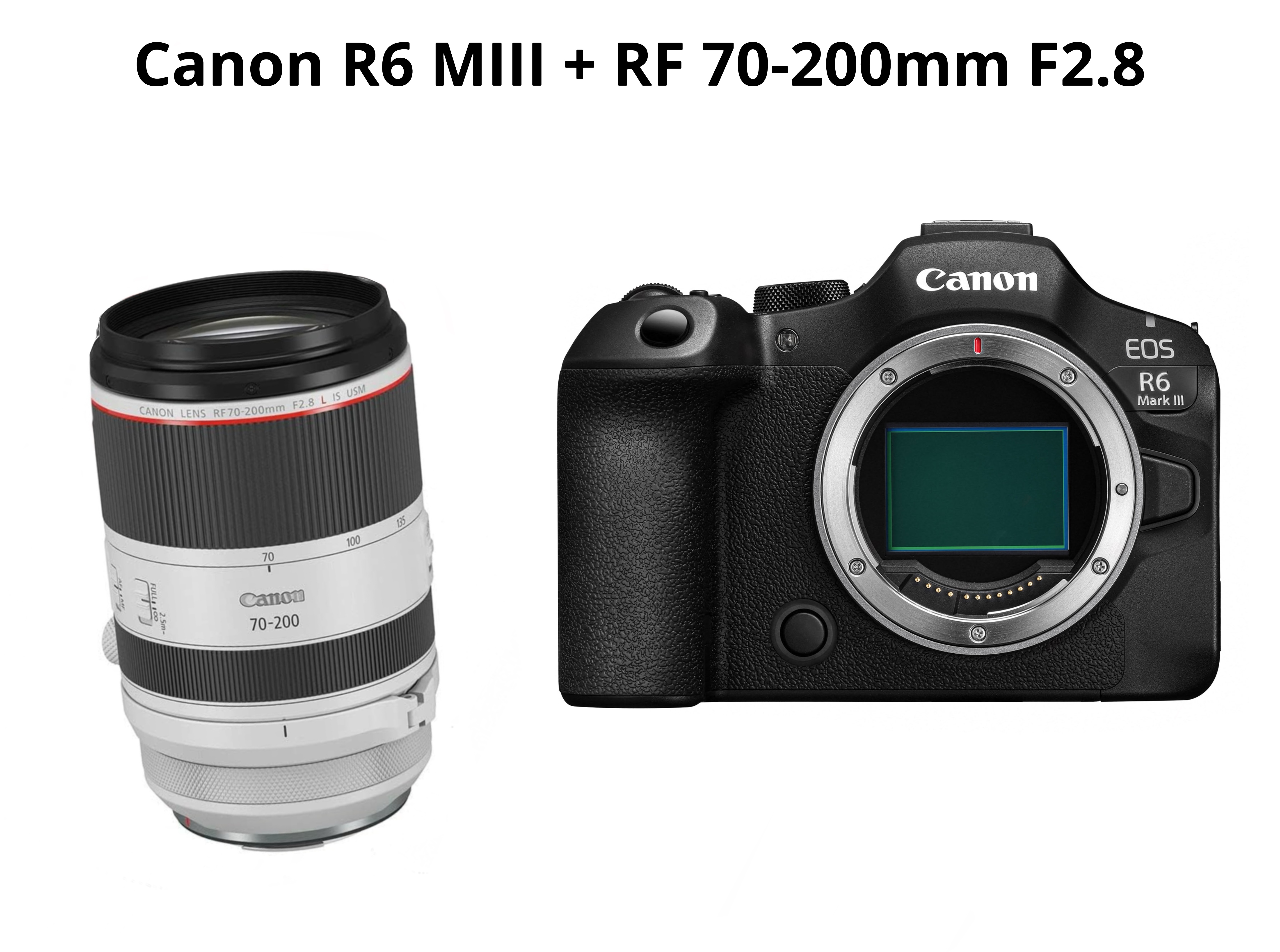 Canon r6 mark iii + rf 70-200mm f2.8 ( canon eos r6 mark iii - canon r6miii )