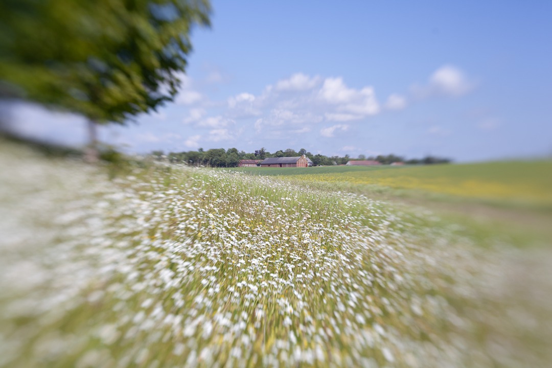 Lensbaby composer objektiv för canon ef