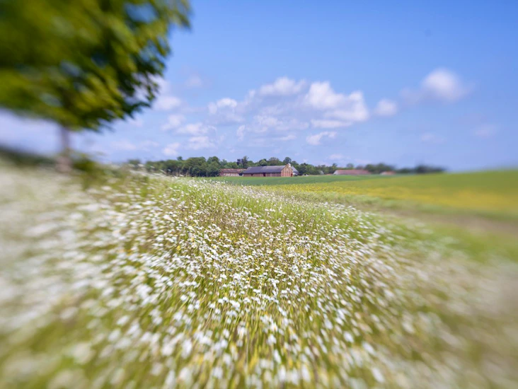 Lensbaby composer objektiv för canon ef