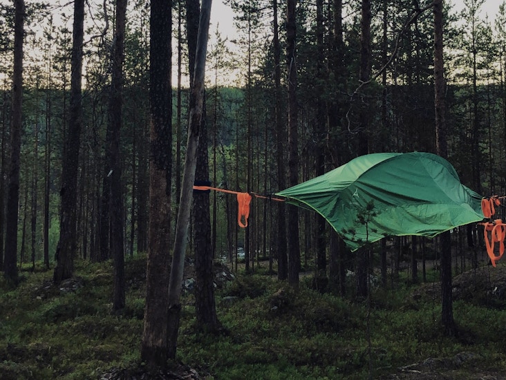 Tentsile connect 3 puumajoite
