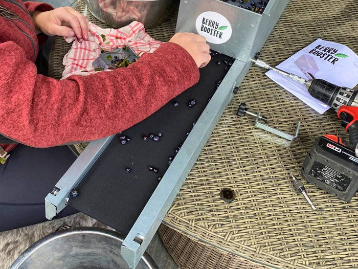 Bärrensare berry booster