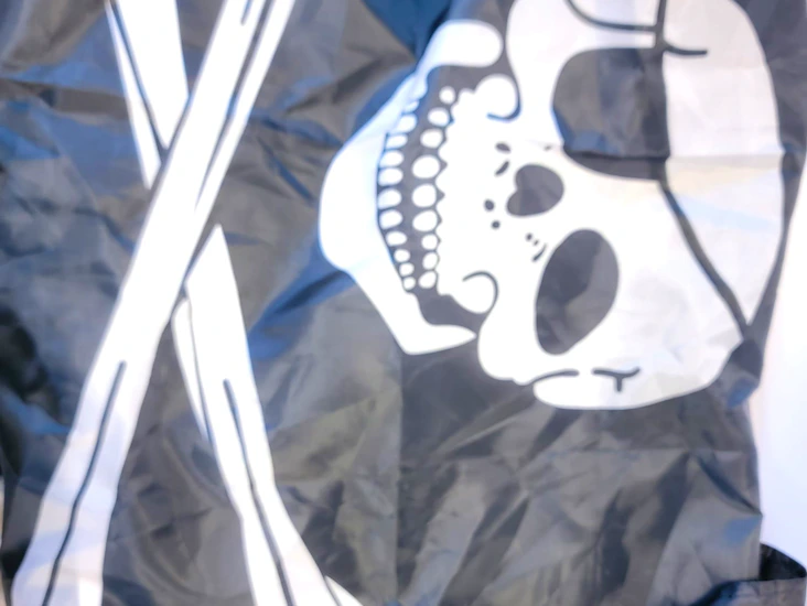 Pirate flag