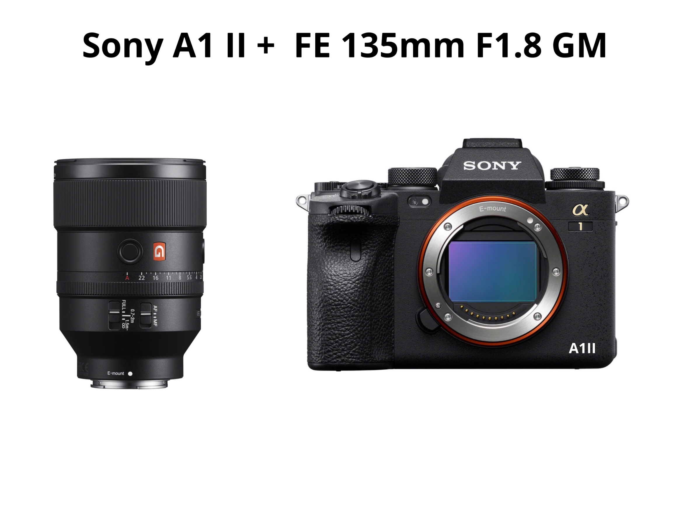 Sony a1 ii + fe 135mm f1.8 gm