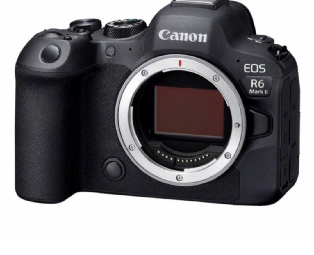 Lei Canon r6 mark 2, RF 2470mm, ndfilter, rigg av Mirjam Dorthea