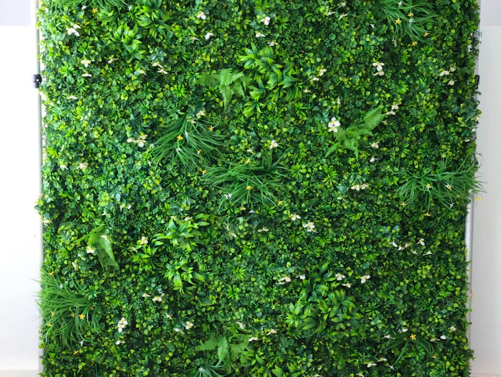 Green grass wall wedding, birthday, party decor backdrop for hire