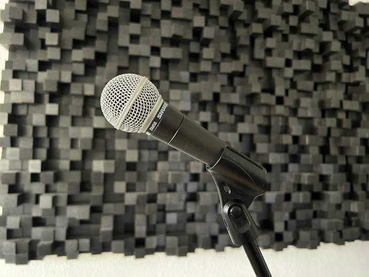 Shure sm58 med eller utan stativ