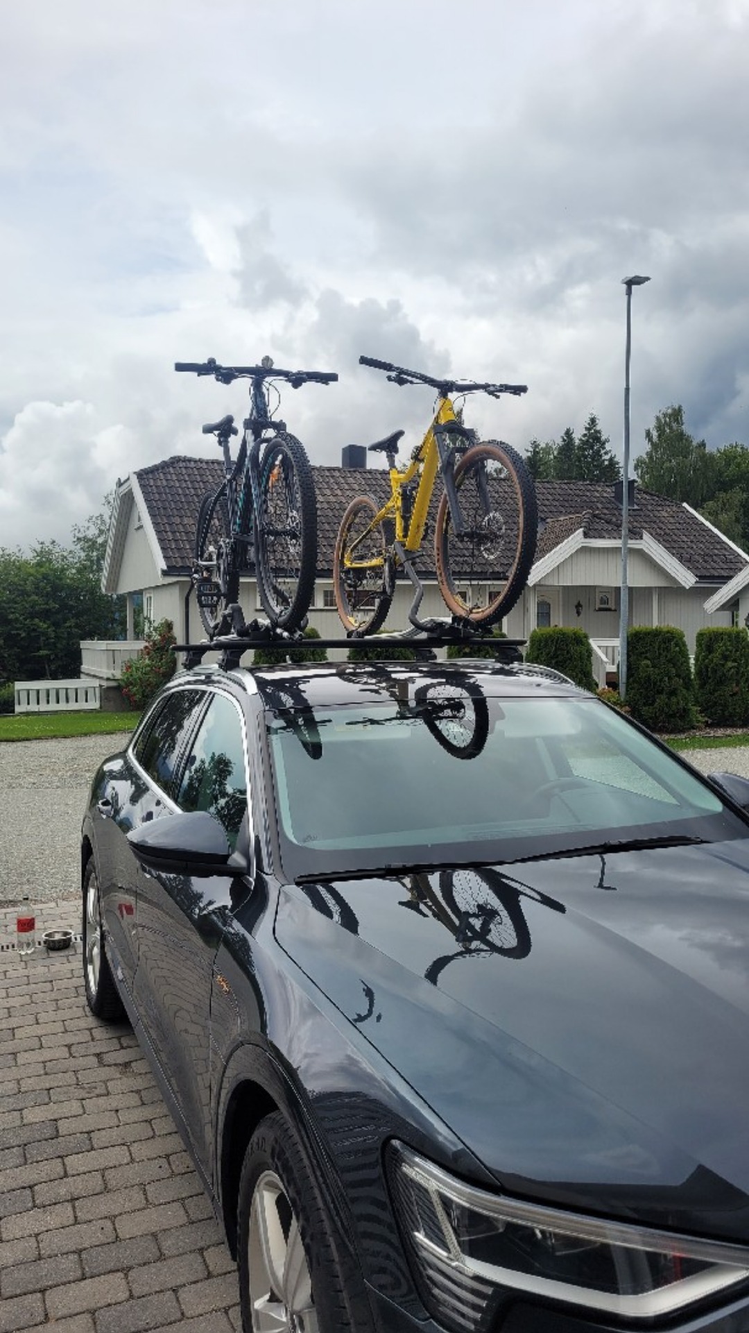Thule proride 591