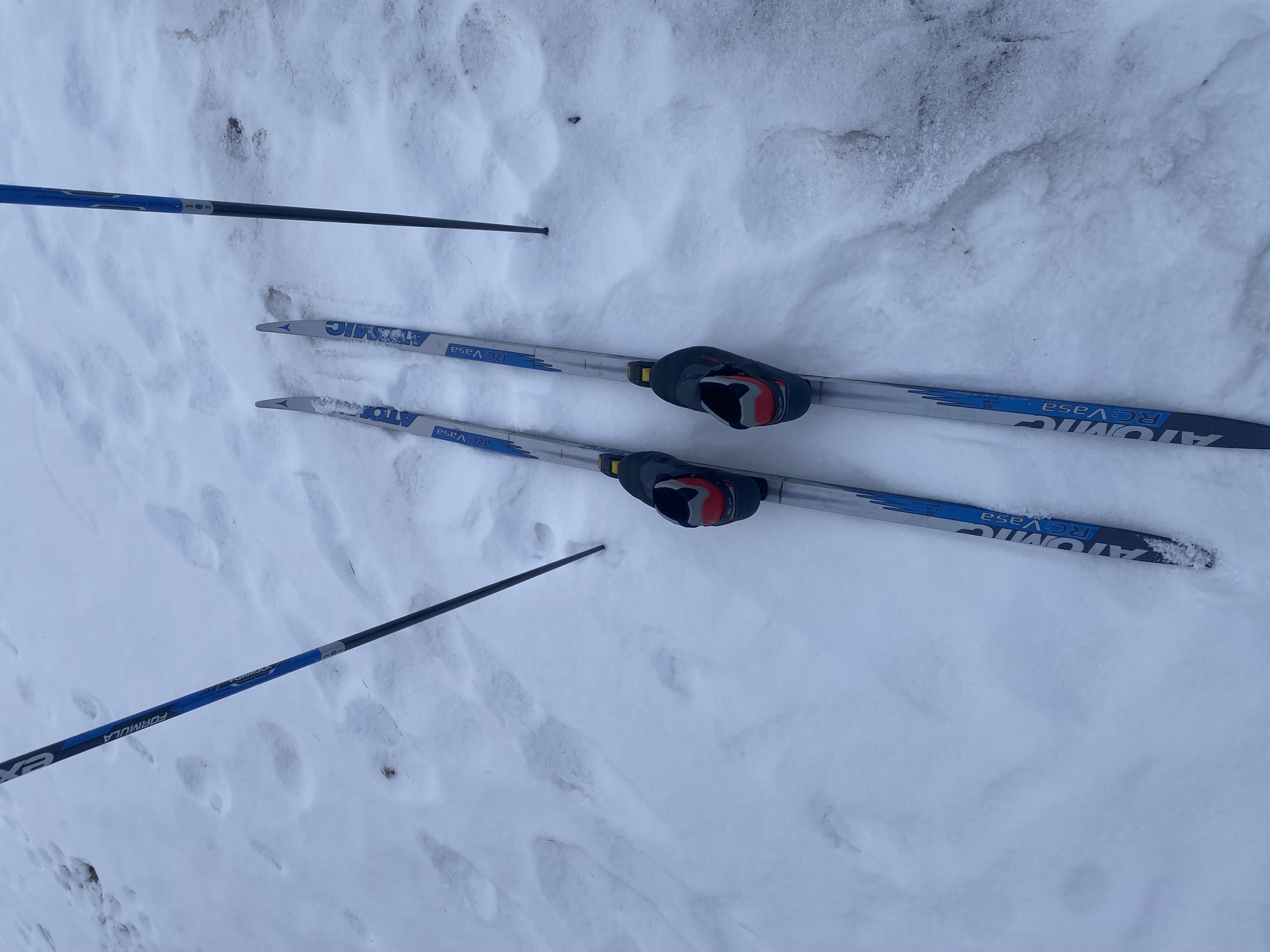 Längskidor 203cm, pjäxor 45 och stavar