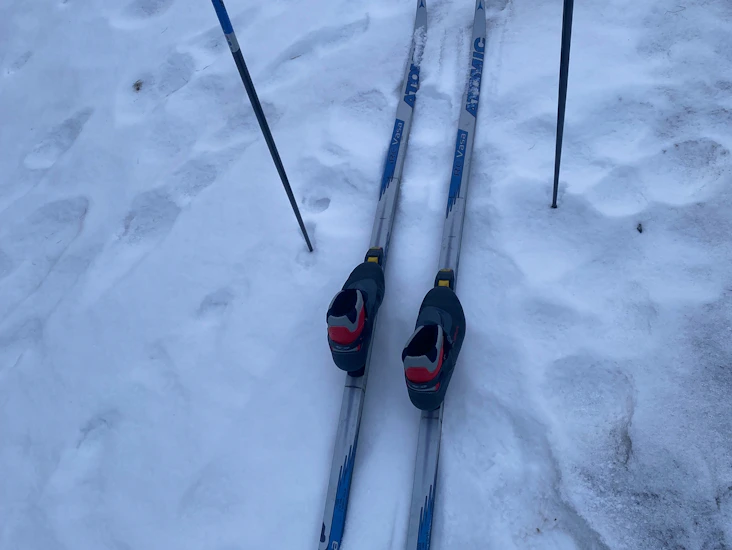 Längskidor 203cm, pjäxor 45 och stavar