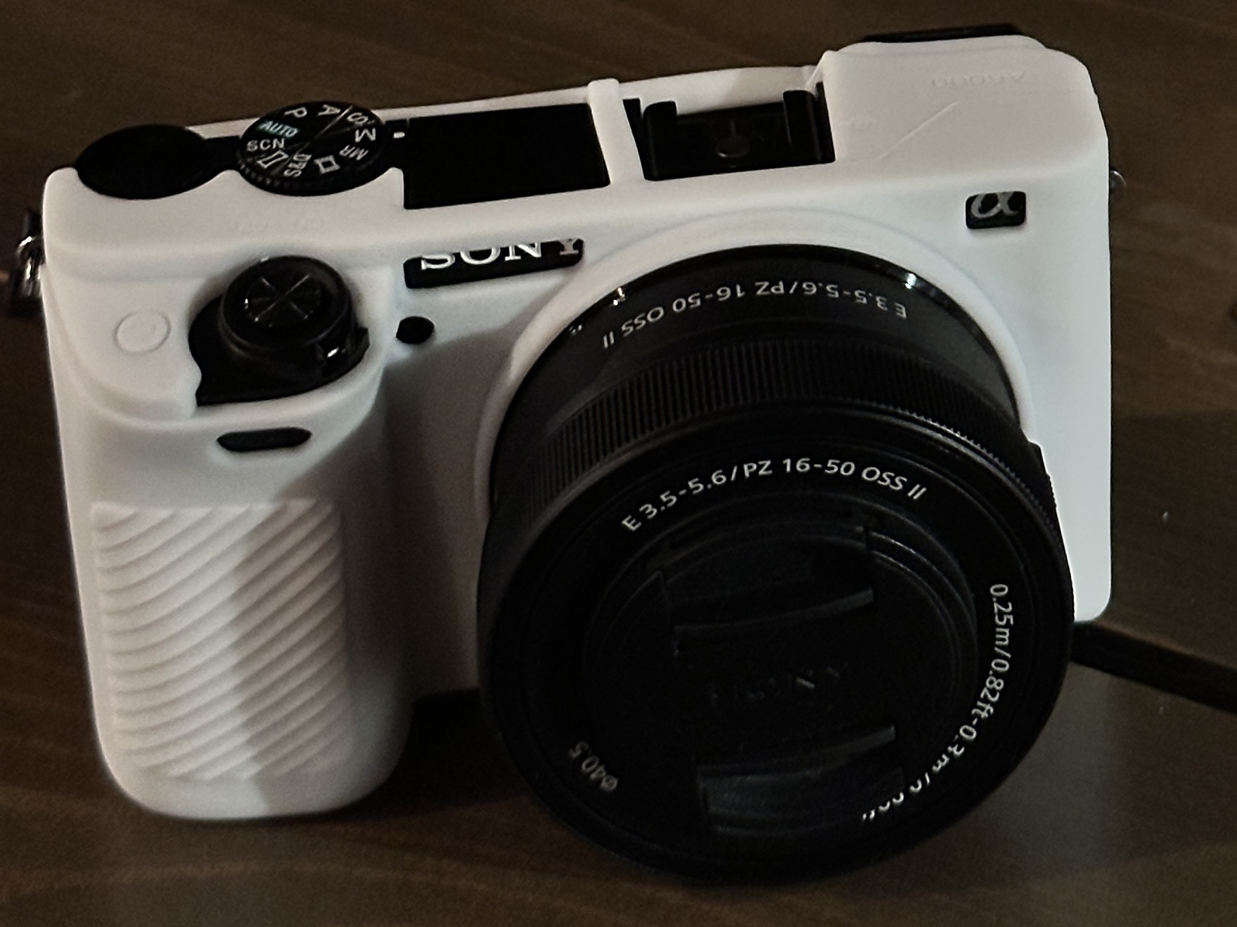 Sony a6100 aps-c mirrorless camera