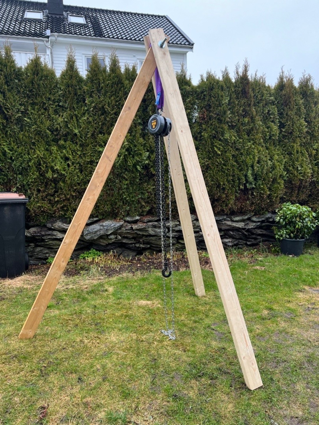 Stubbebryter/steinbukk