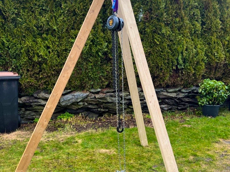 Stubbebryter/steinbukk