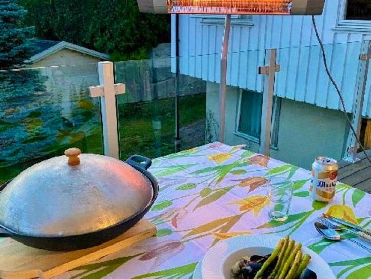 Nya infravärmare norveco star 20 dts