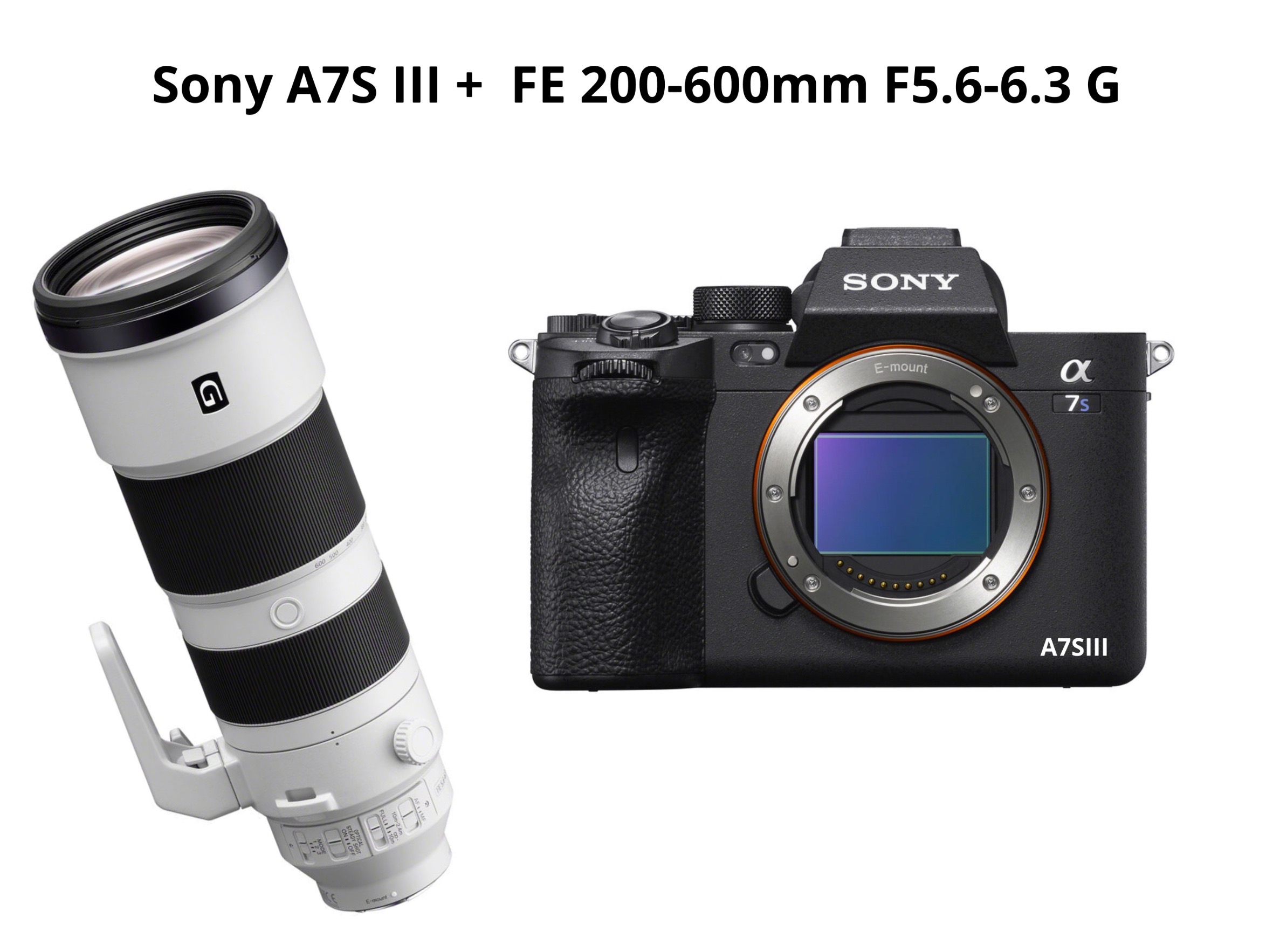 Sony a7s iii + fe 200-600mm f5.6-6.3 gm ( sony a7siii )