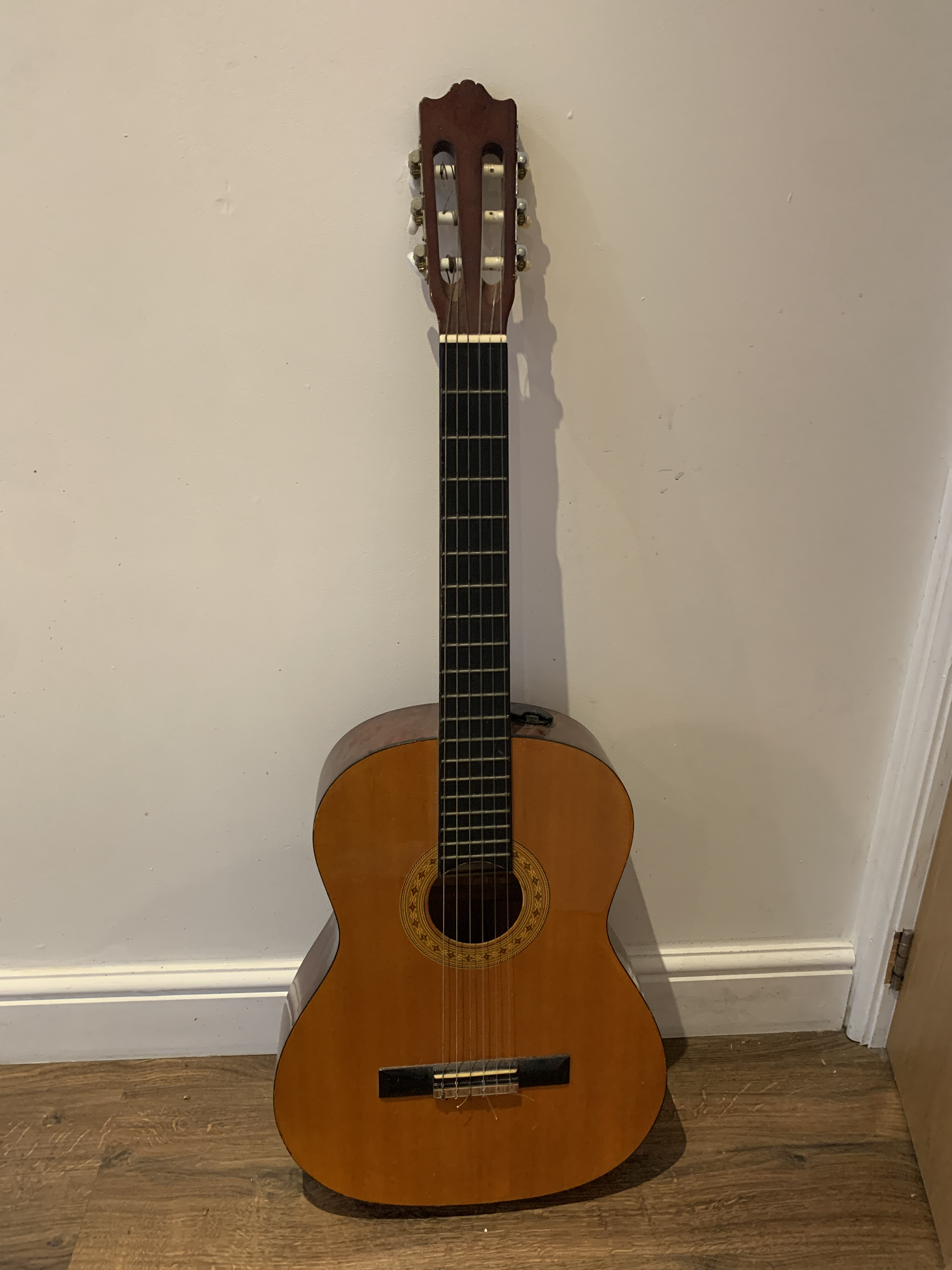 Acoustic guitar 
