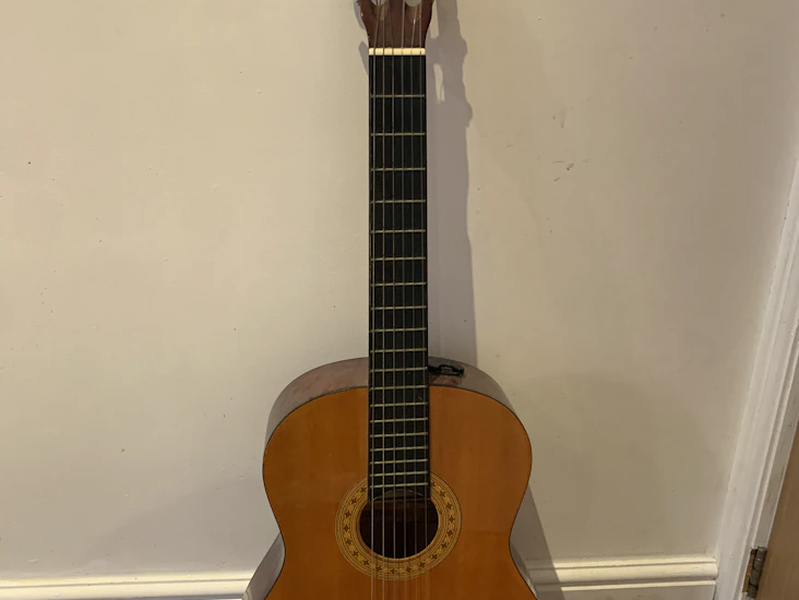 Acoustic guitar