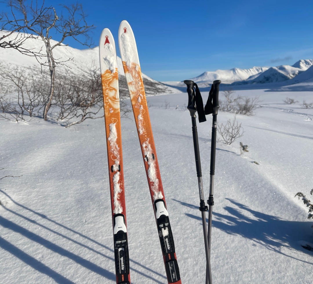 Fjellski til jenter 155 - 165cm, str 37/38