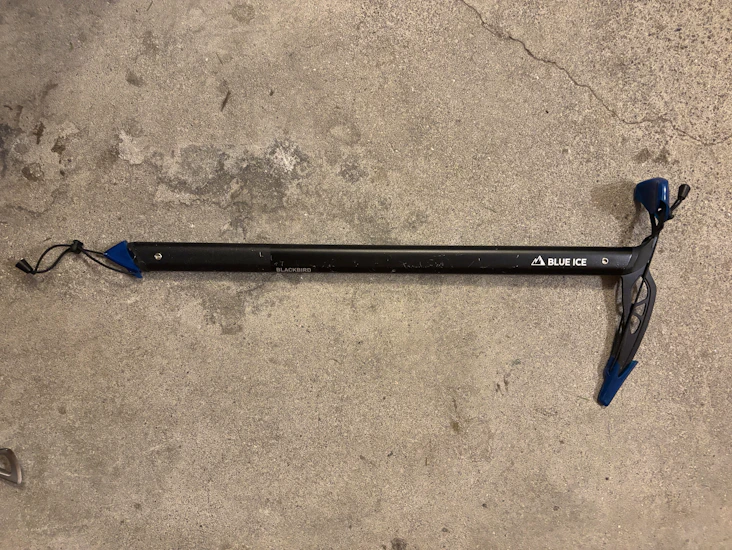 Blue ice blackbid isyxa