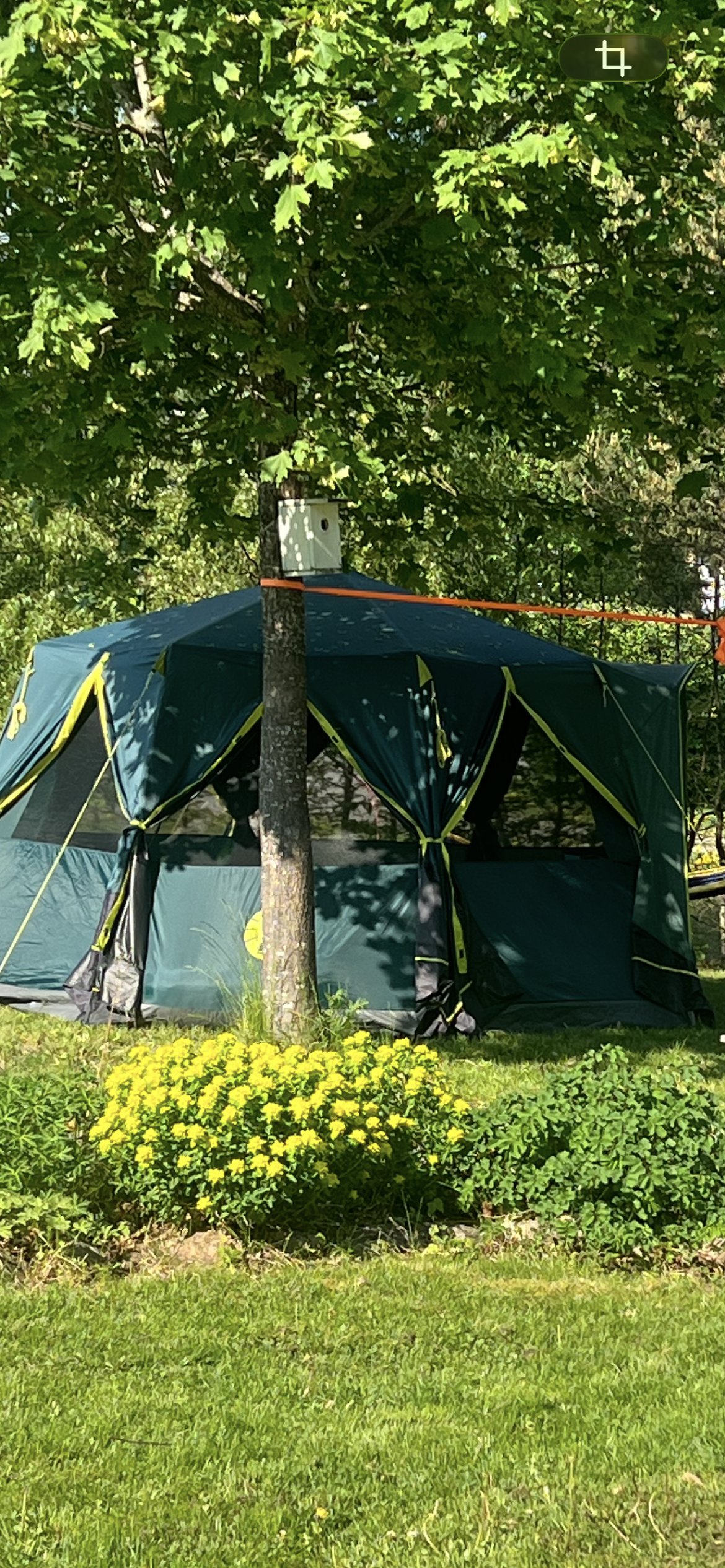 Coleman octagon blackout 