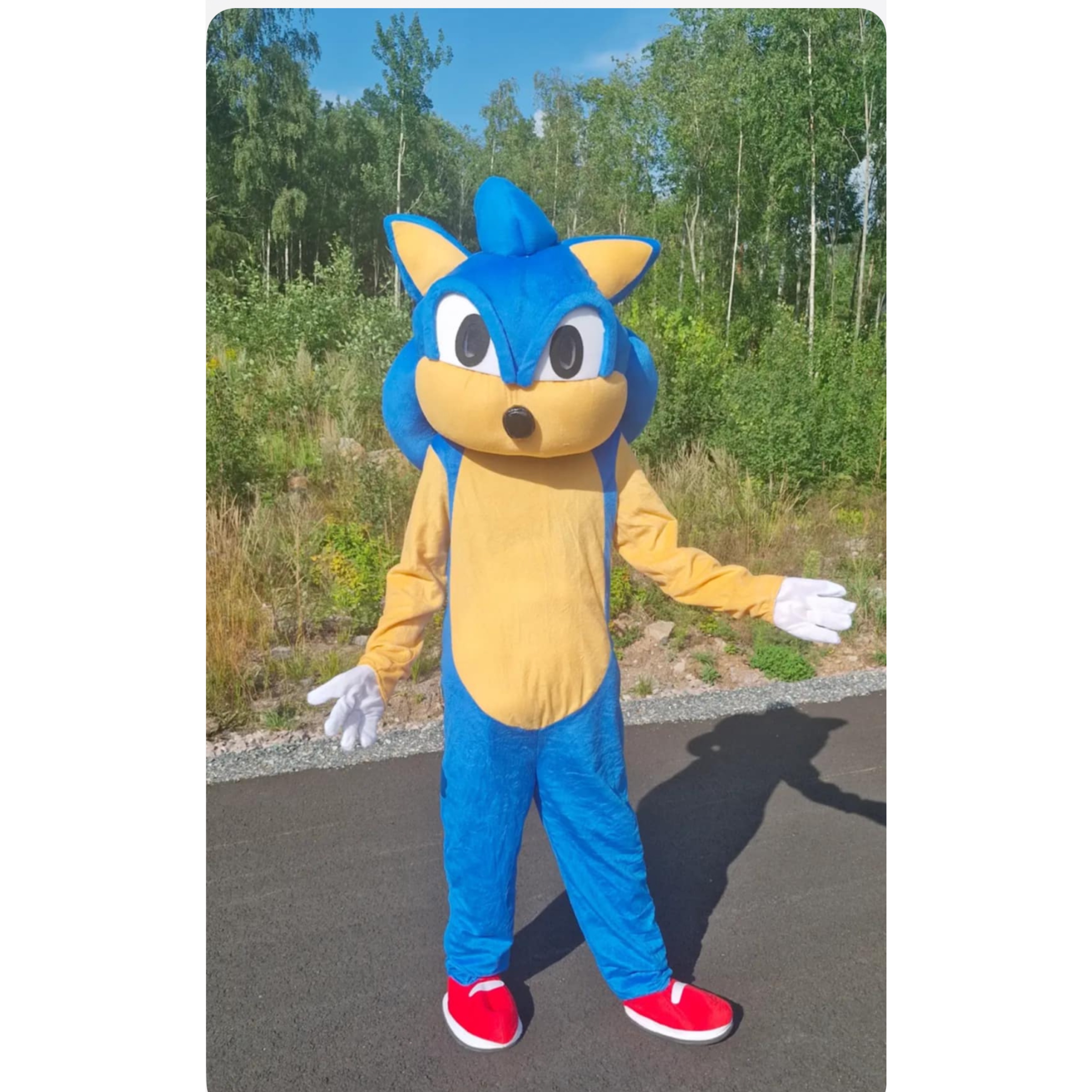 Sonic the hedgehog maskerad vuxen