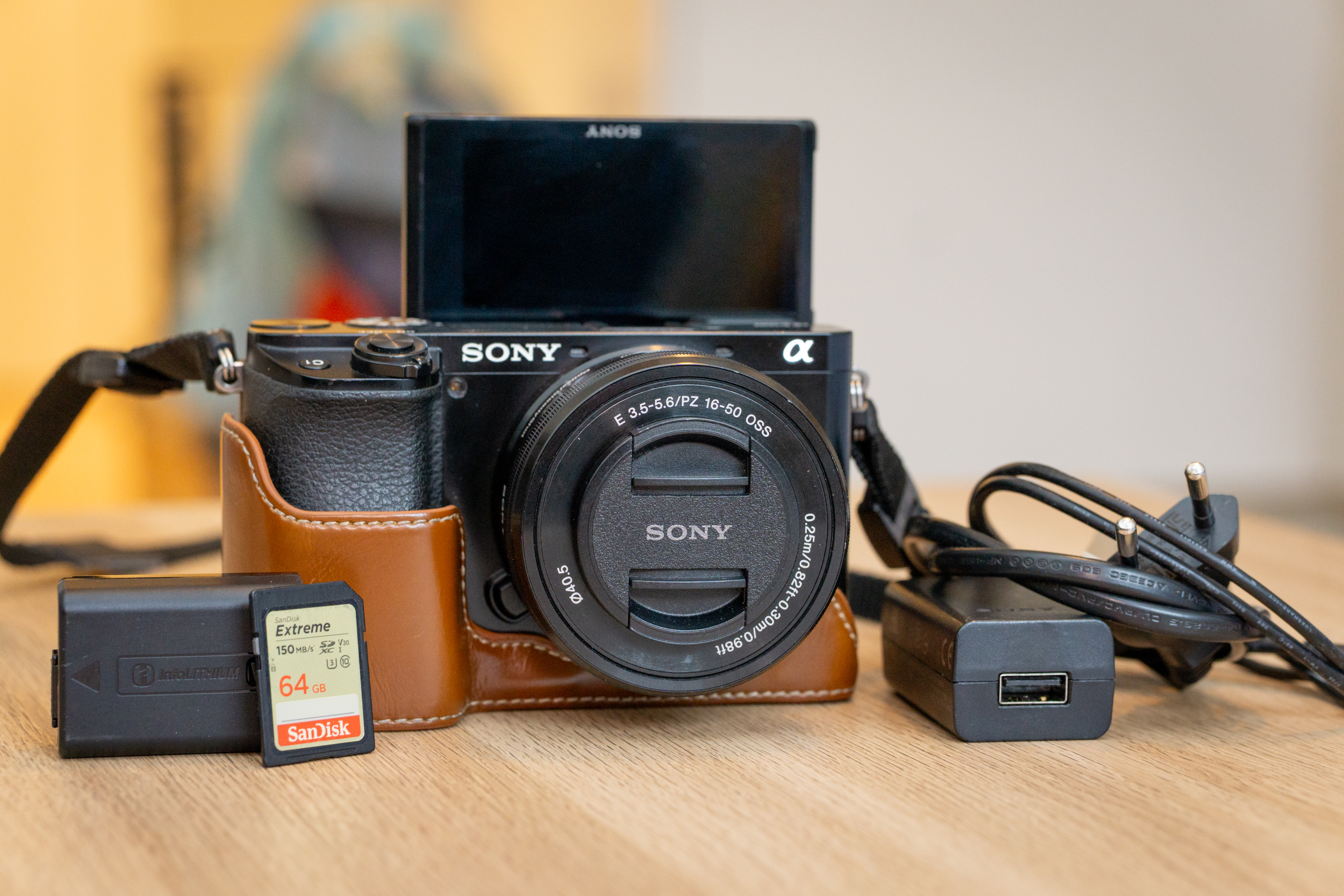 Sony alpha a6100