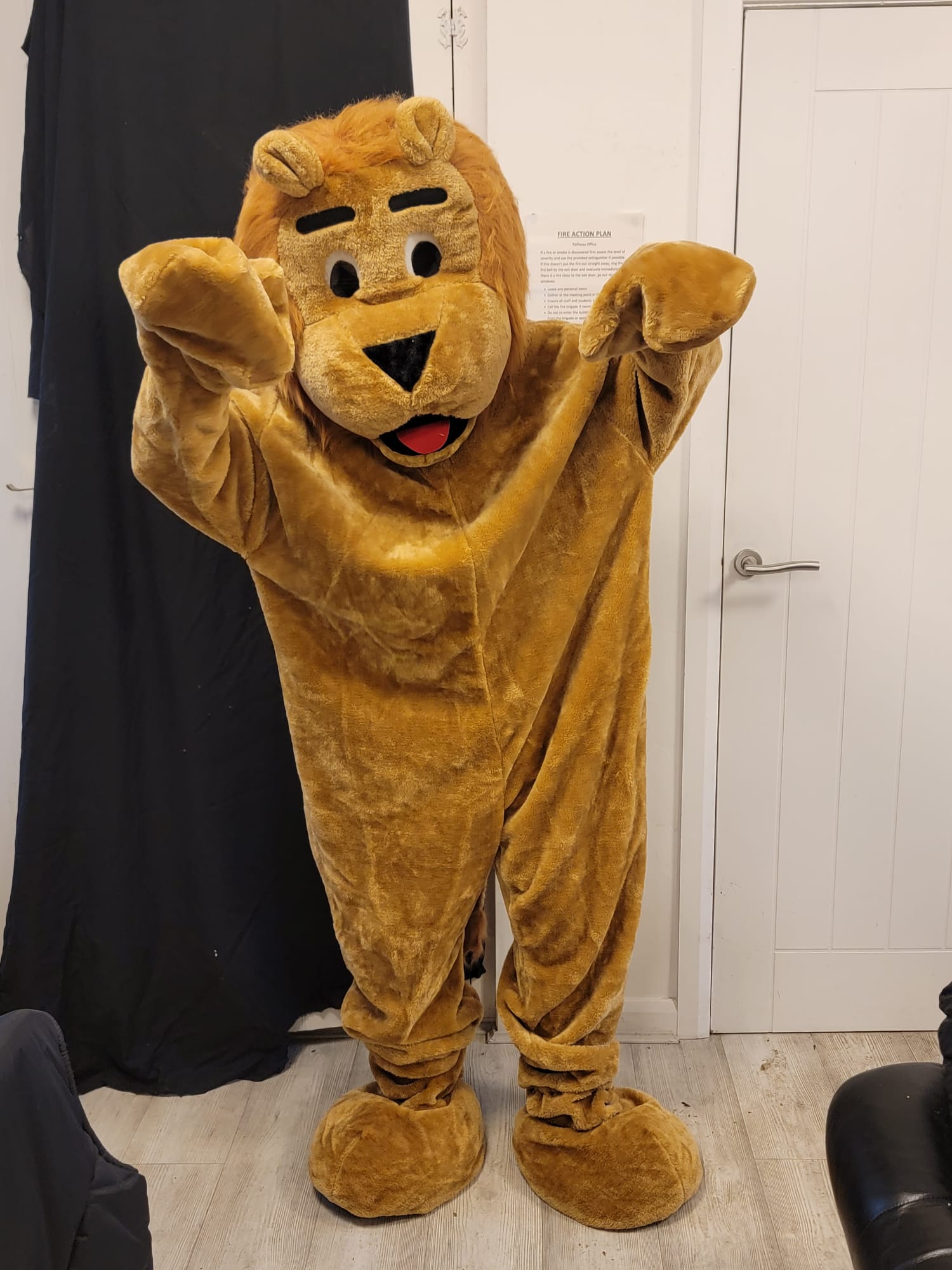 Lion mascot