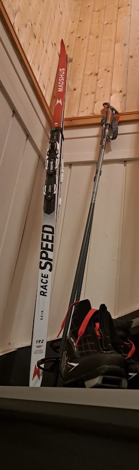 Felleski 170 cm + staver