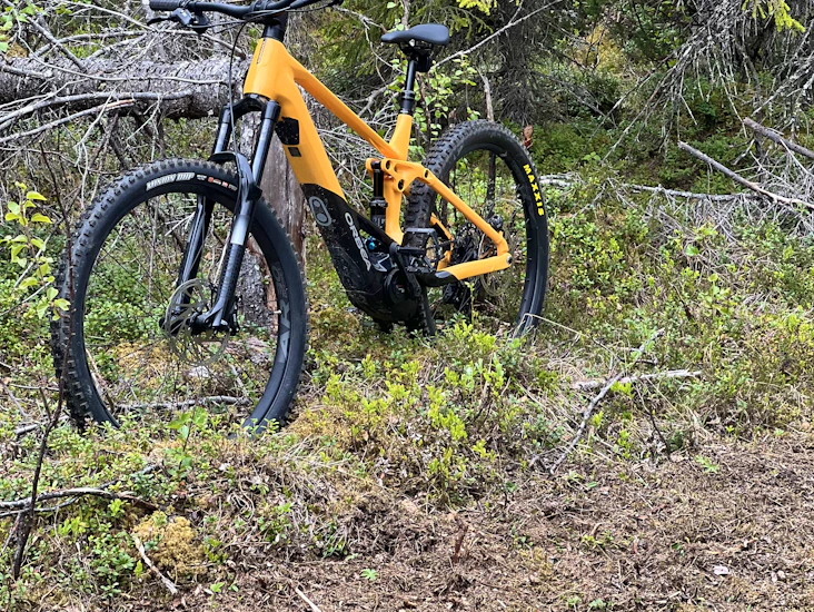 Orbea wild h20