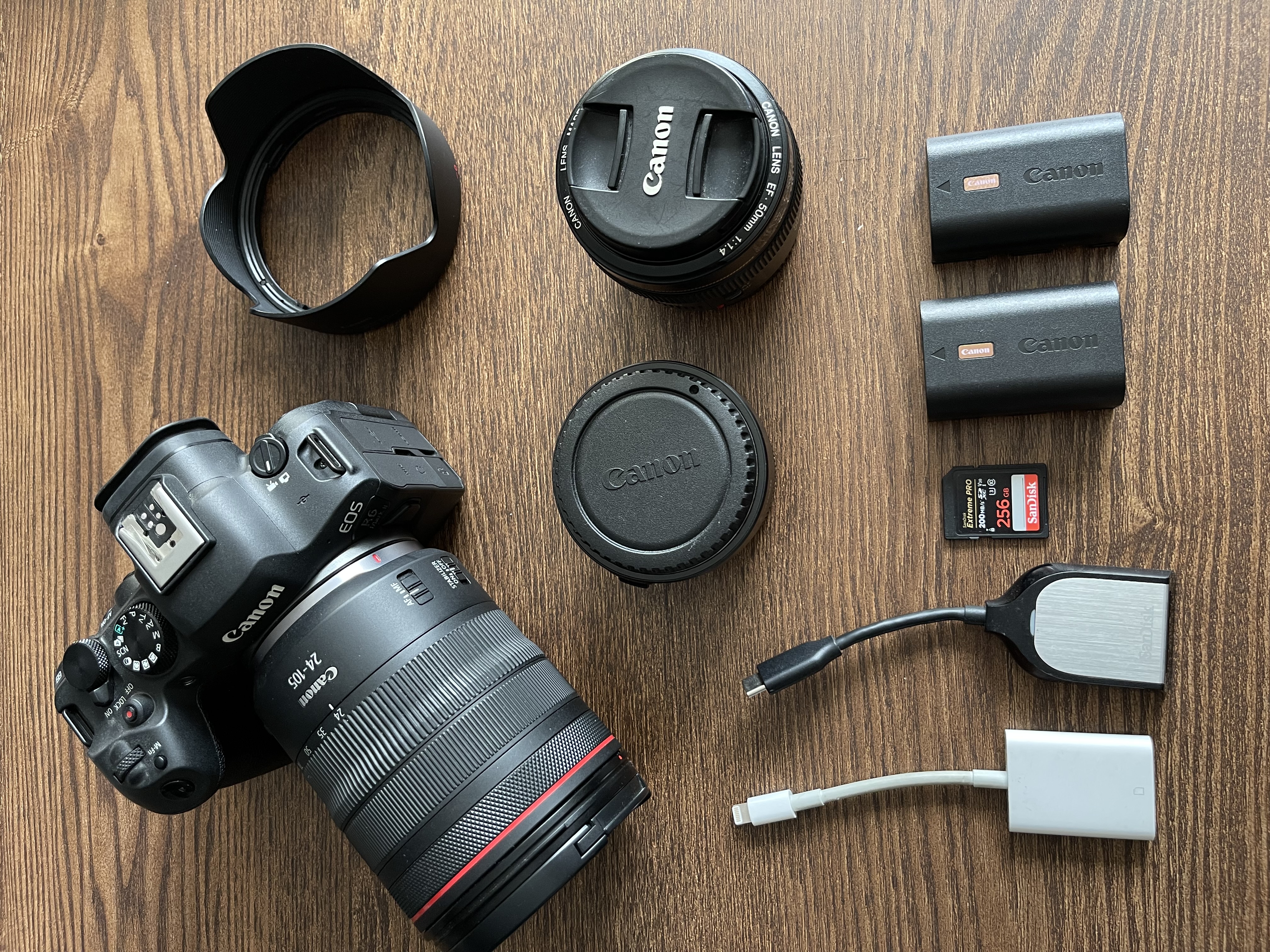 Canon r6 mark ii + 24-105mm + 50mm f/1.4