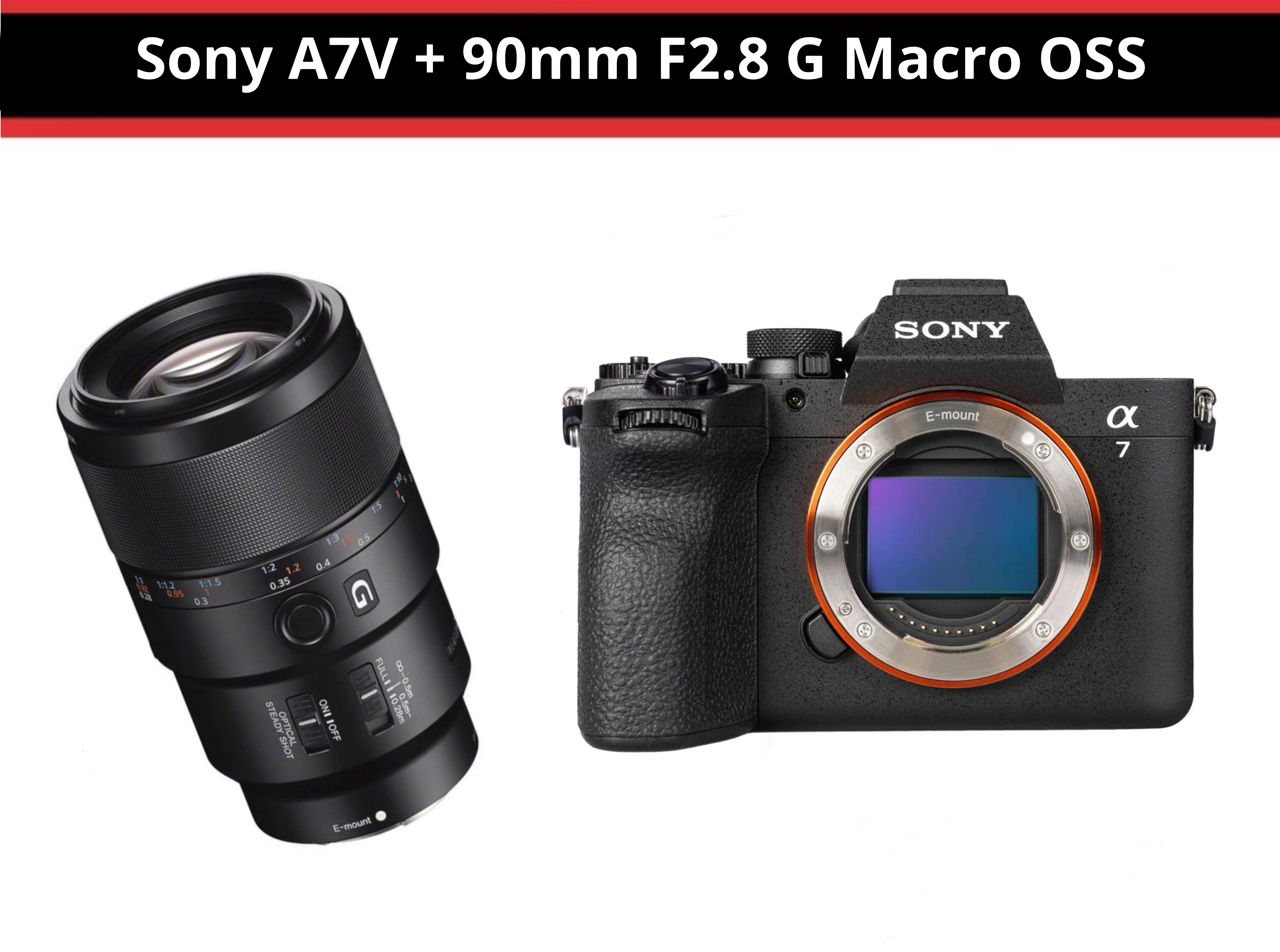 Sony a7v + 90mm f2.8 g macro oss