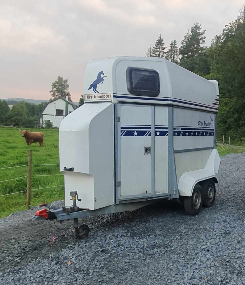 Star trailer  hästtransport