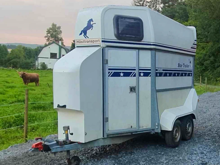 Star trailer hästtransport