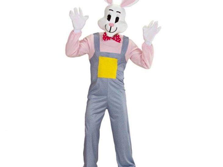 Maalaiskani naamiaisasu