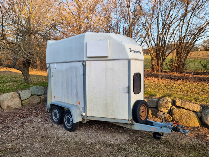 1500 kg hestetrailer