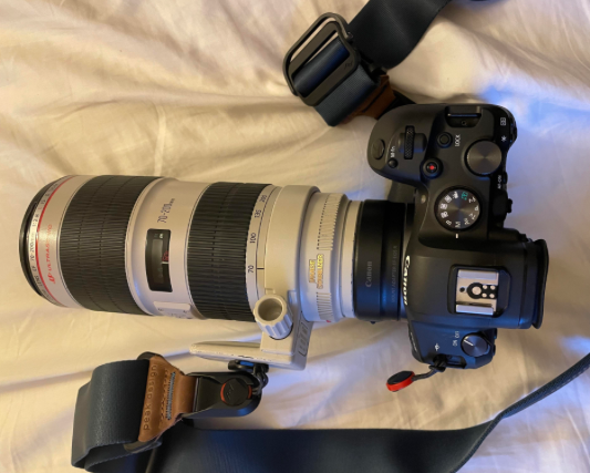 Canon r6 mark iii with canon ef 70-200mm f/2.8 l adapter 