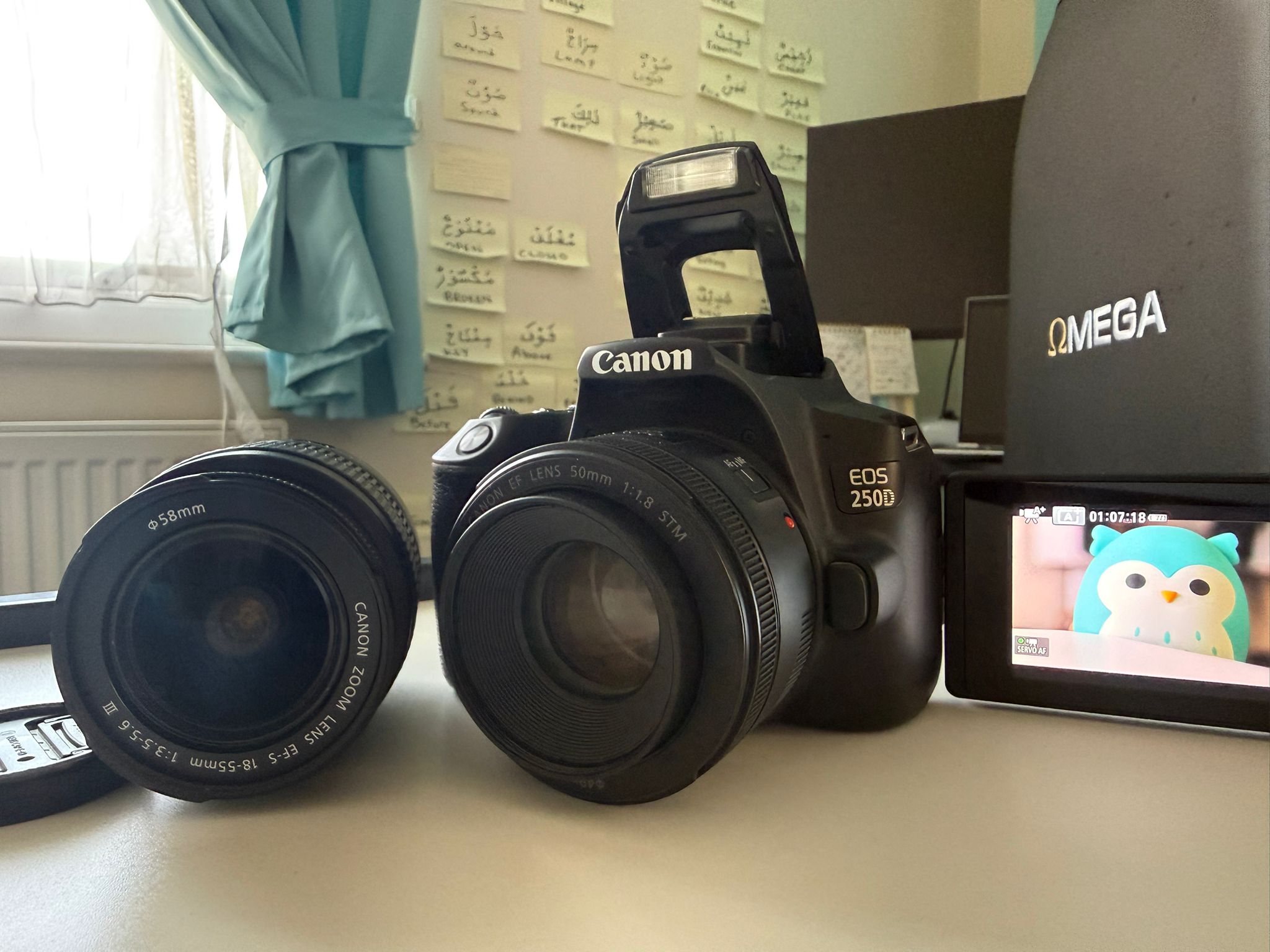 Canon eos 250d kit with ef 50mm f/1.8 stm + bonus 18-55mm lens lens perfect for photo and video shoots [london uk] (base and strap + sd card reader + 2 lens + battery + charge dock + 128 gb memory + camera bag)