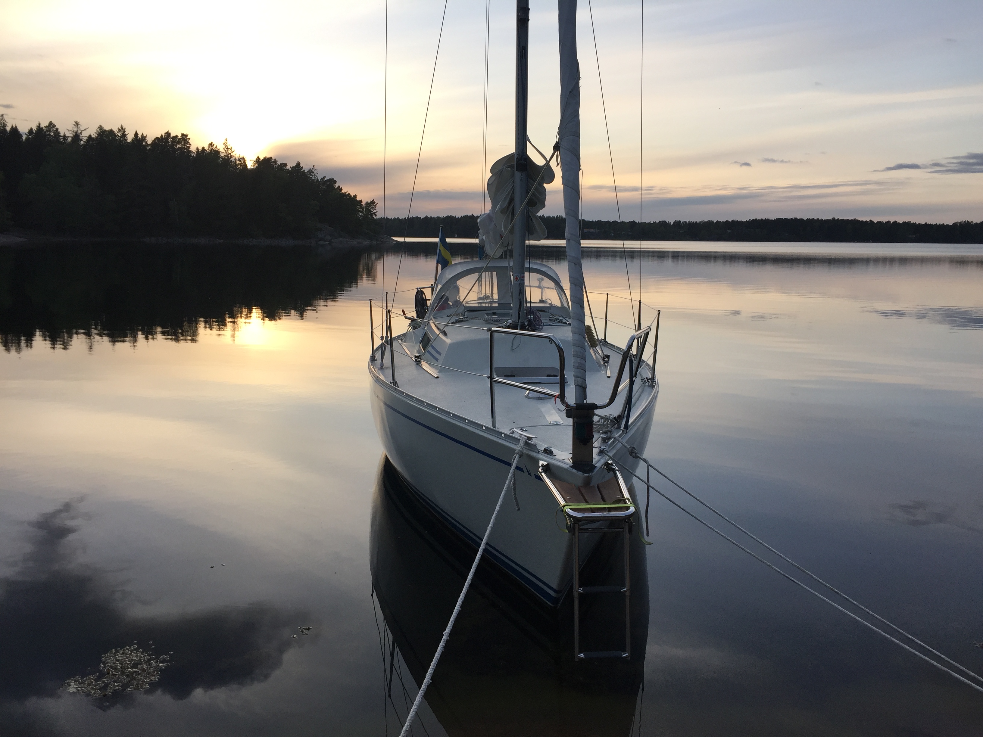 Välvårdad albin alpha i stockhols skärgård (ljusterö)