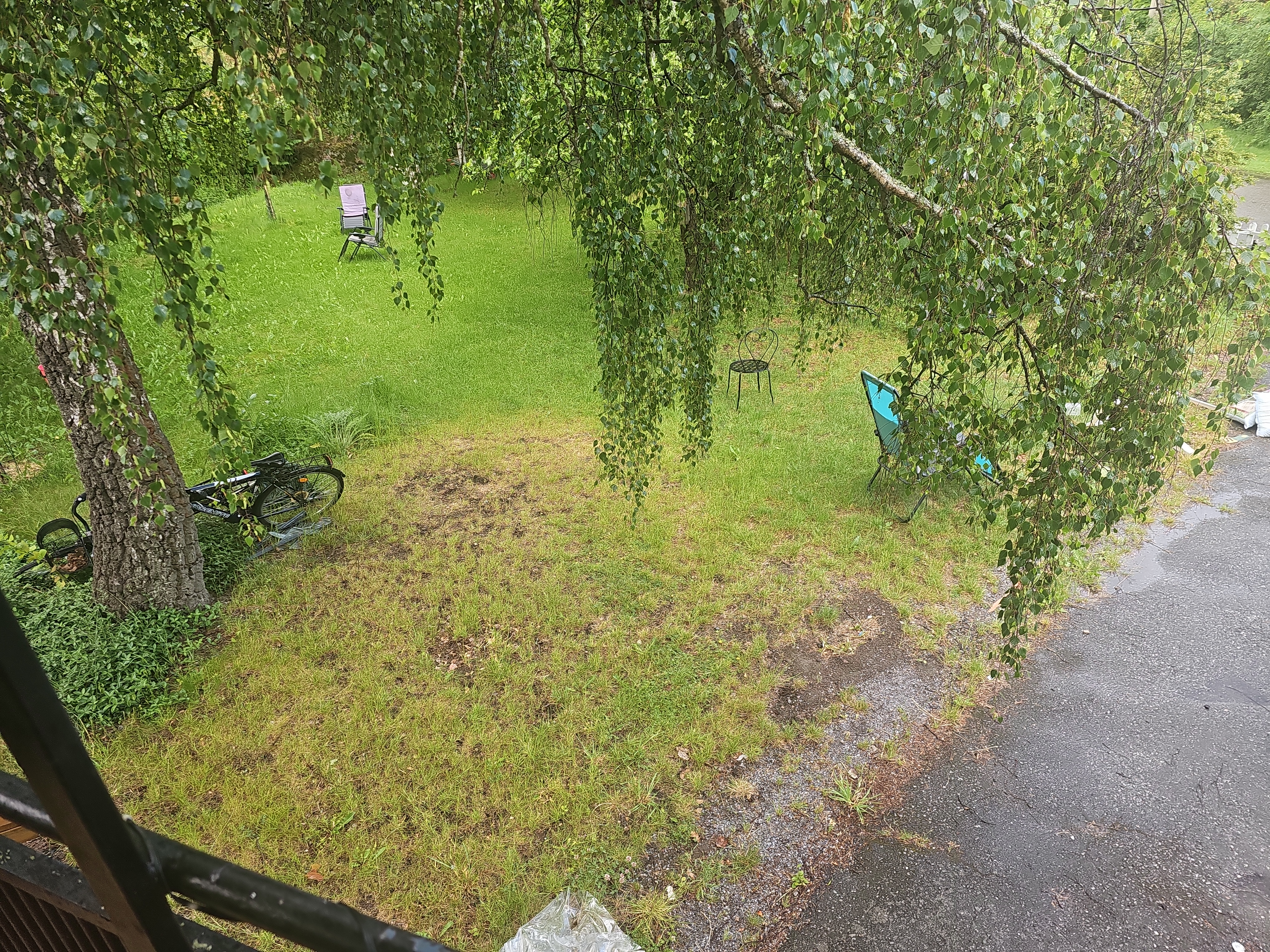 Trädgård att hyra