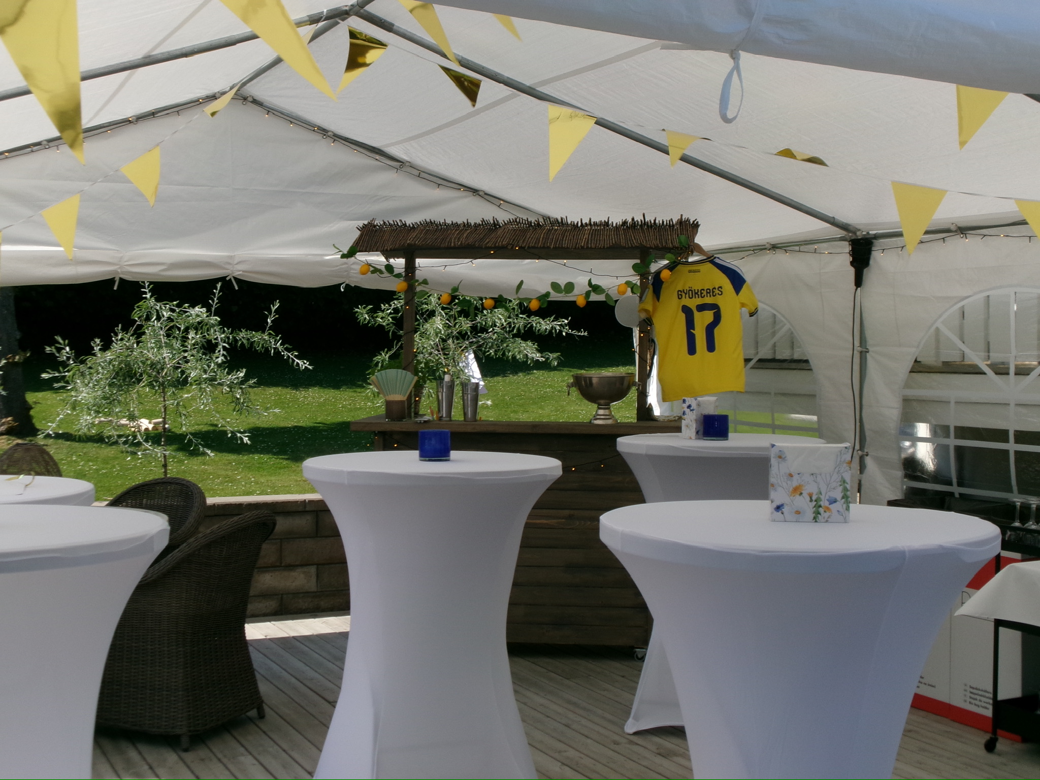 Bar med fint tak samt diskho med gardena koppling