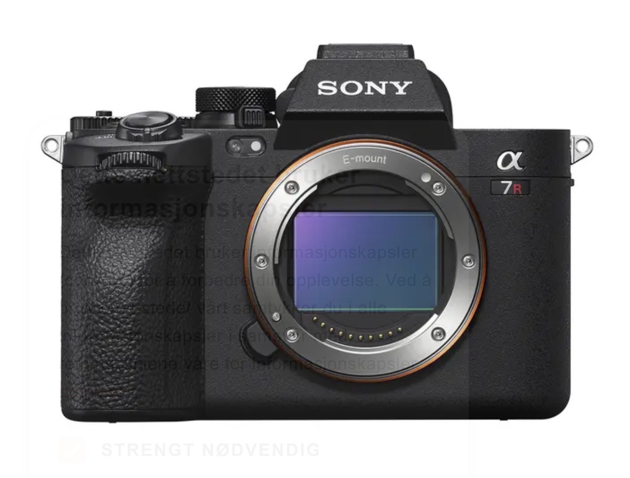 Sony a7 r5