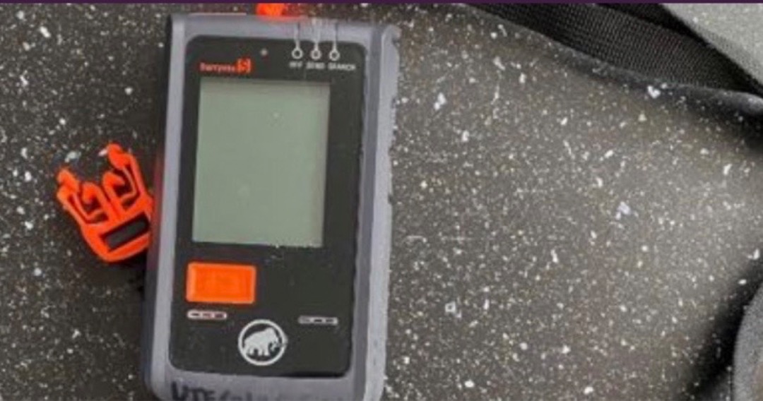 Sendar/mottakar (skredsøkar) x2